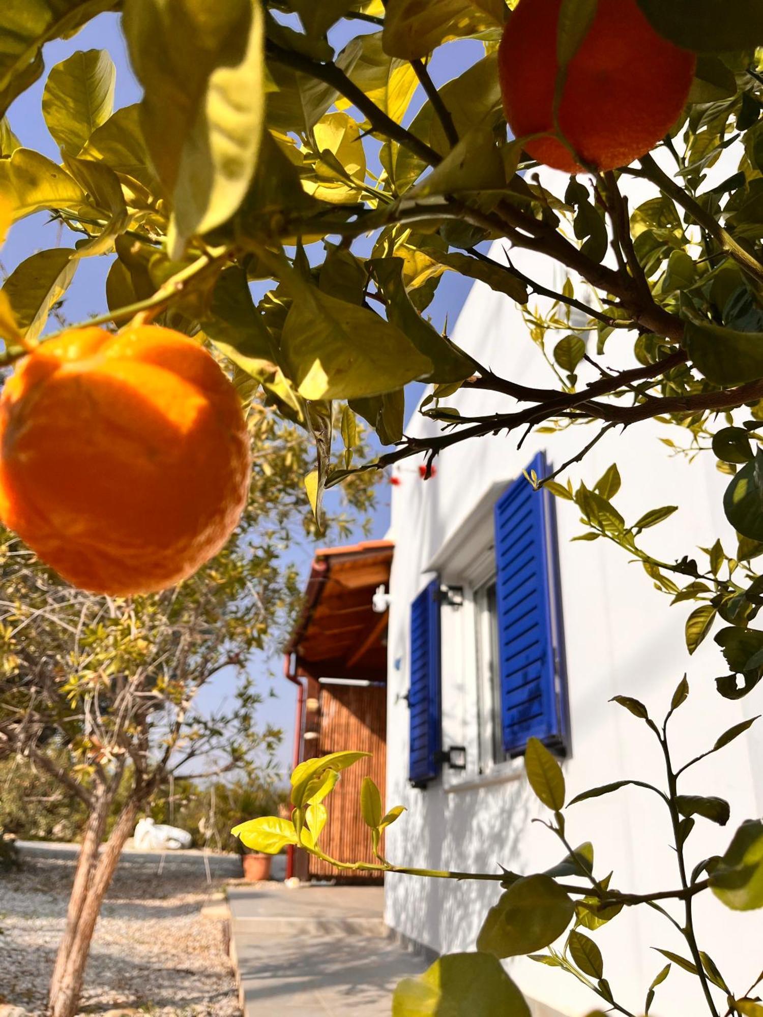 Villa Francesca Agia Galini Exterior foto